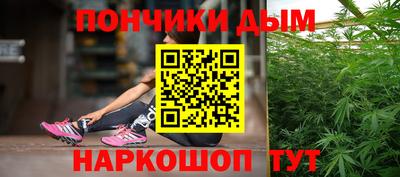 spice Дубна