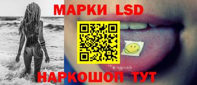молекула духа Донецк
