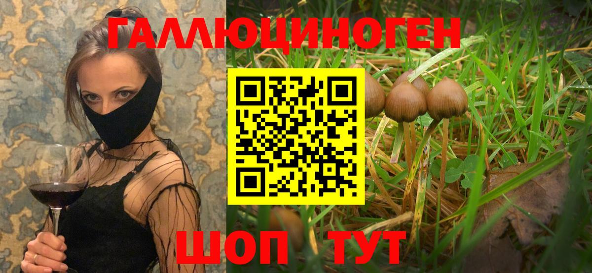 Муром  Псилоцибиновые грибы мицелий  Вход с VPN 